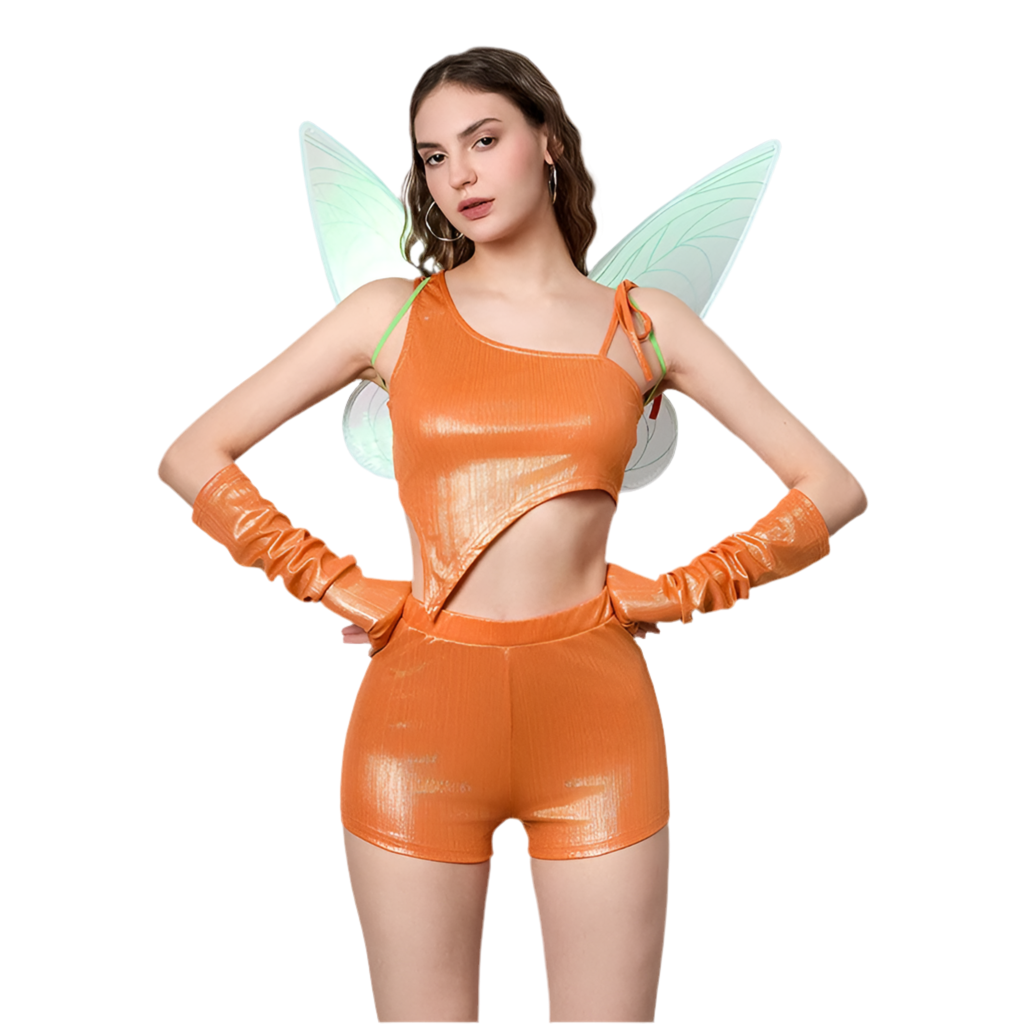 Fairy Costume