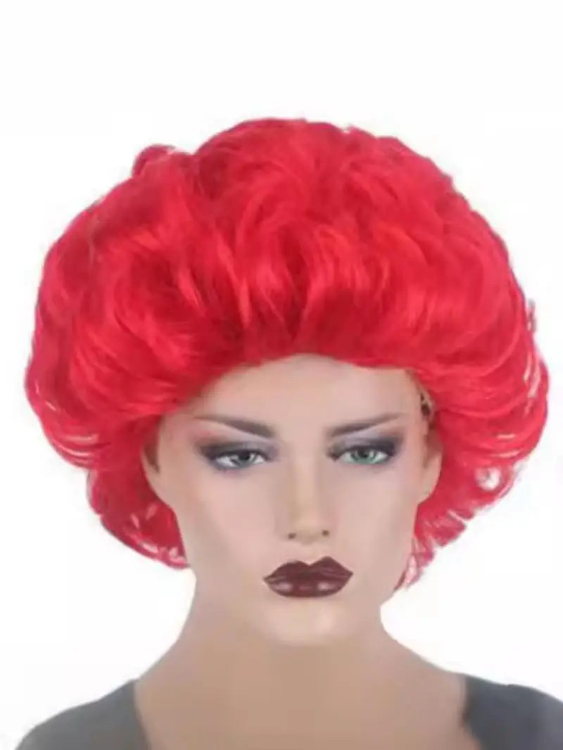 Ronald McDonald costume (costume and wig)
